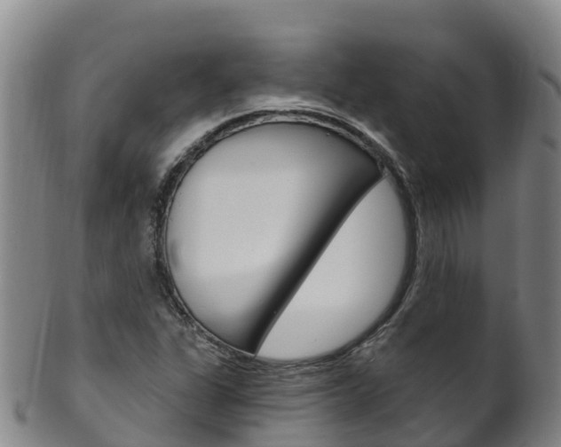 X0000102531311200808081043
