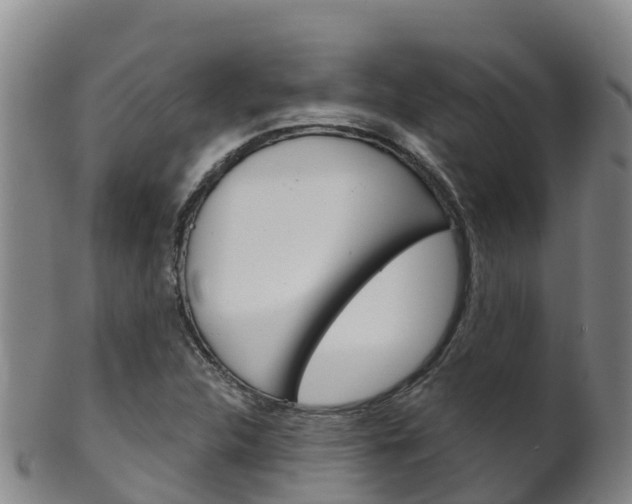 X0000102531312200808081043