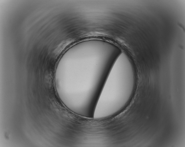 X0000102531313200808081043