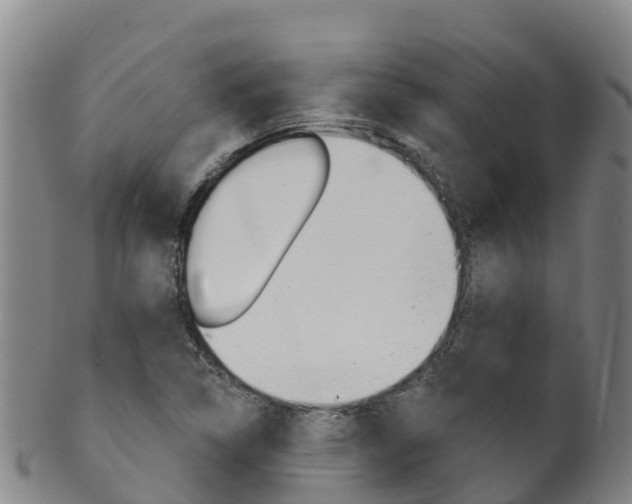X0000102531314200808081043