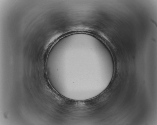 X0000102531315200808081043