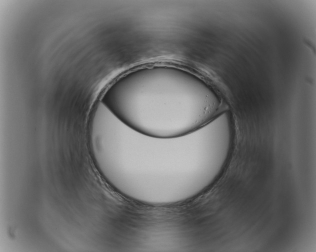 X0000102531316200808081043