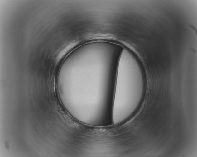 X0000102531317200808081043
