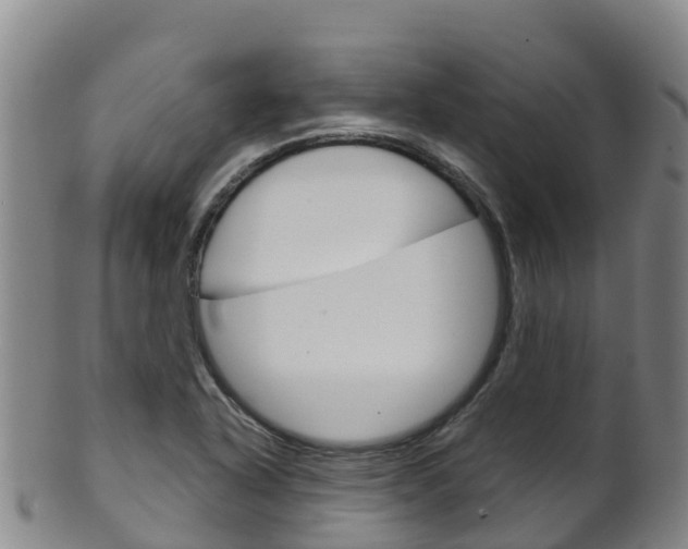 X0000102531318200808081043