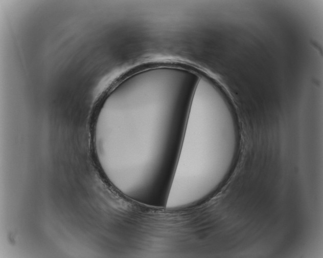 X0000102531319200808081043