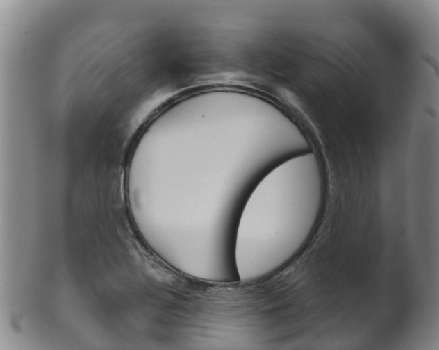 X0000102531320200808081043