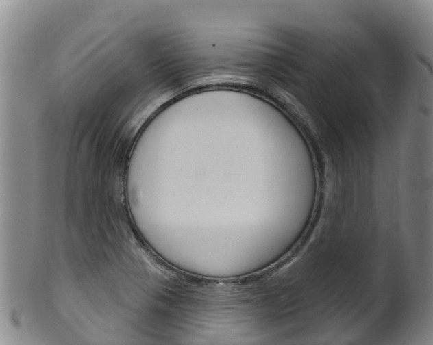 X0000102531321200808081043