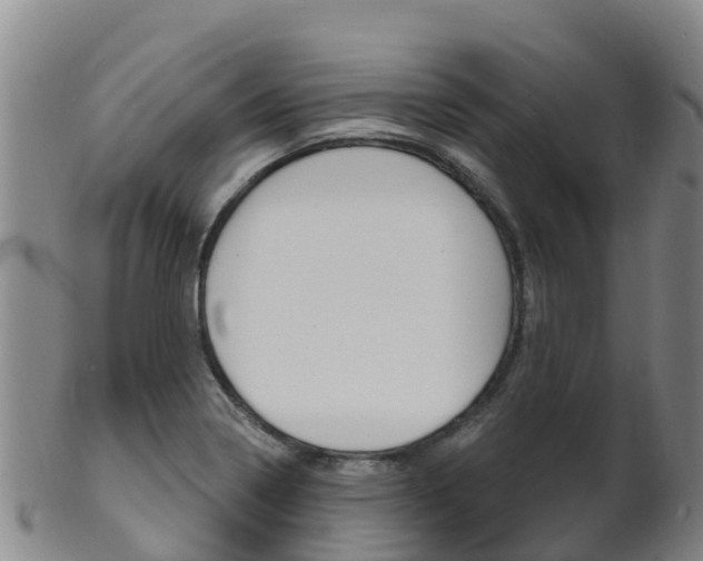 X0000102531322200808081043