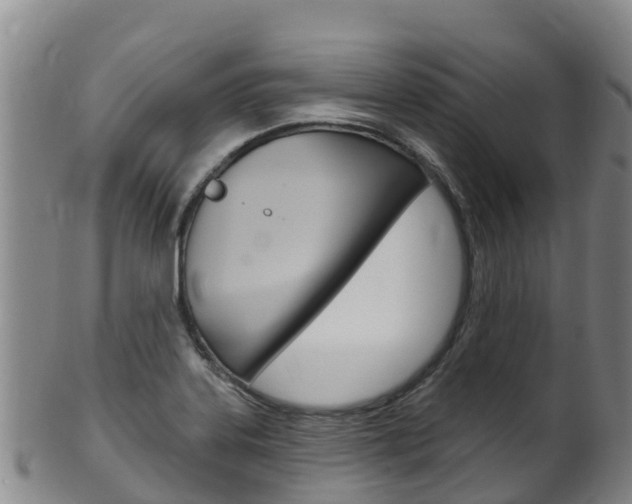 X0000102531323200808081043