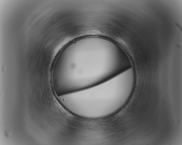 X0000102531326200808081044