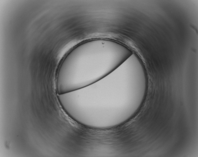 X0000102531328200808081044