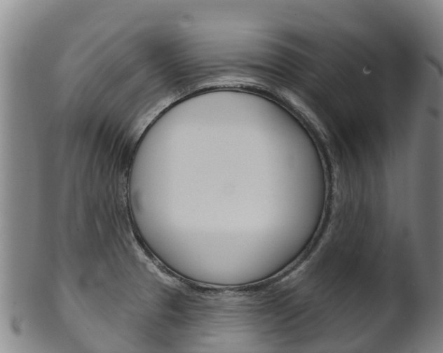 X0000102531329200808081044
