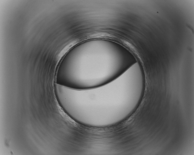 X0000102531330200808081044