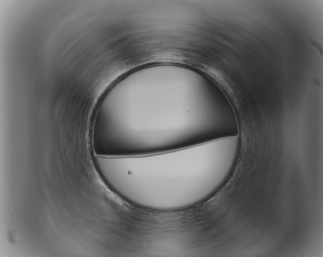 X0000102531331200808081044