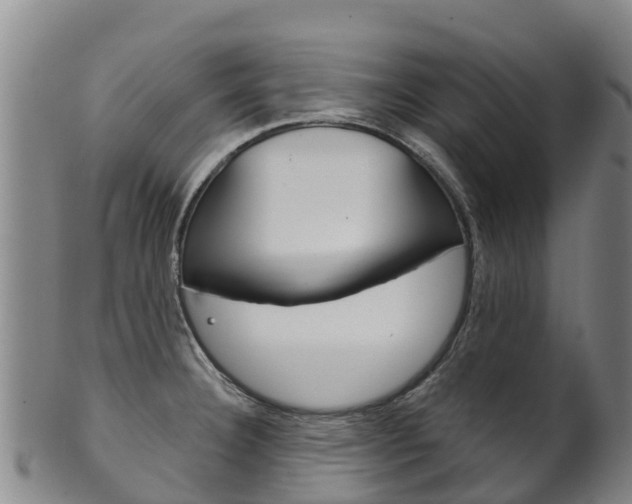 X0000102531332200808081044