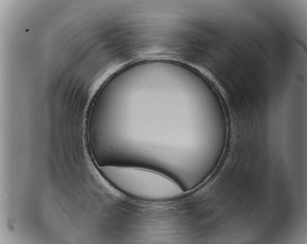 X0000102531333200808081044