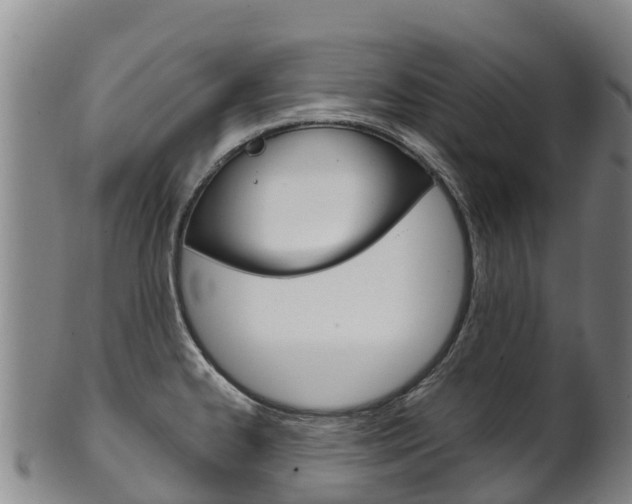 X0000102531334200808081044