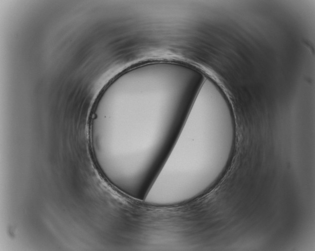 X0000102531335200808081044