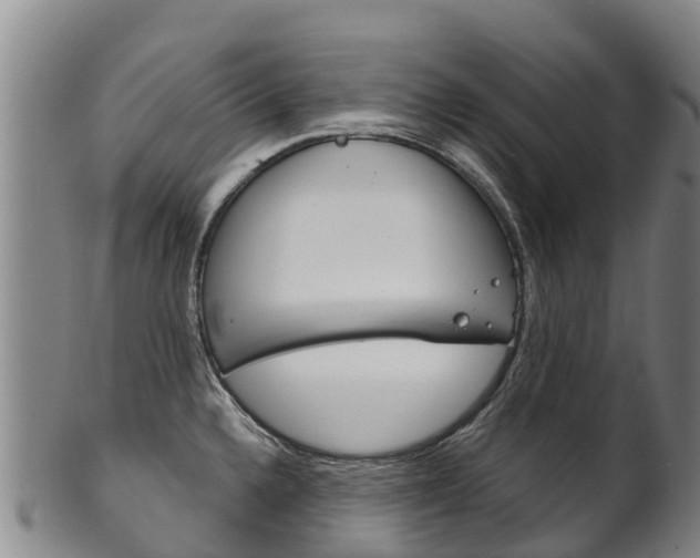 X0000102531336200808081044