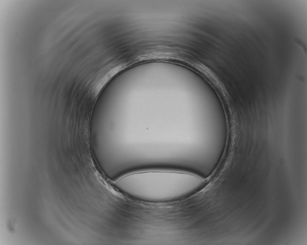 X0000102531337200808081044
