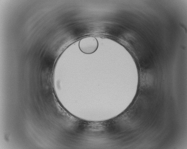 X0000102531338200808081044
