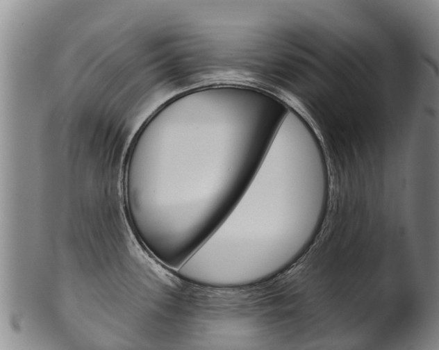 X0000102531339200808081044
