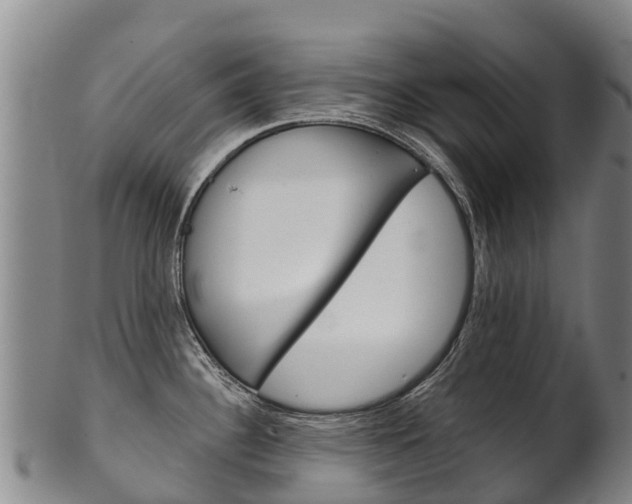 X0000102531340200808081044