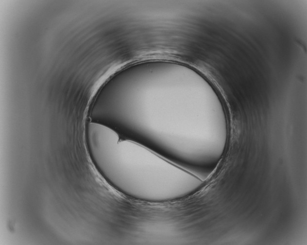 X0000102531341200808081044