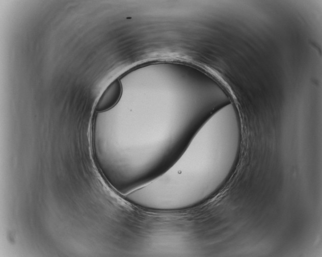 X0000102531343200808081044