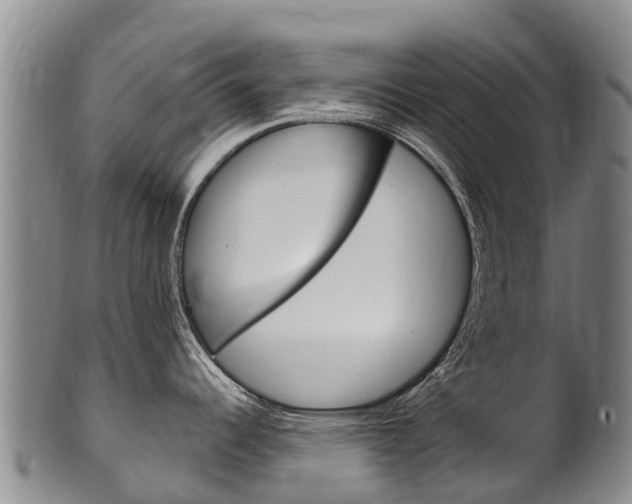 X0000102531344200808081044