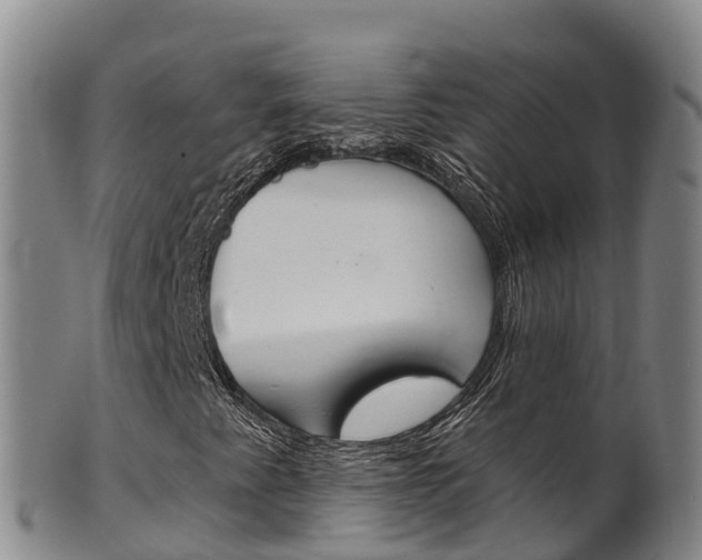 X0000102531345200808081043