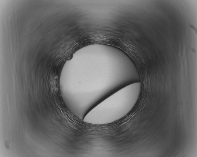 X0000102531346200808081043