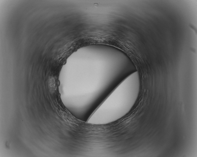 X0000102531347200808081043