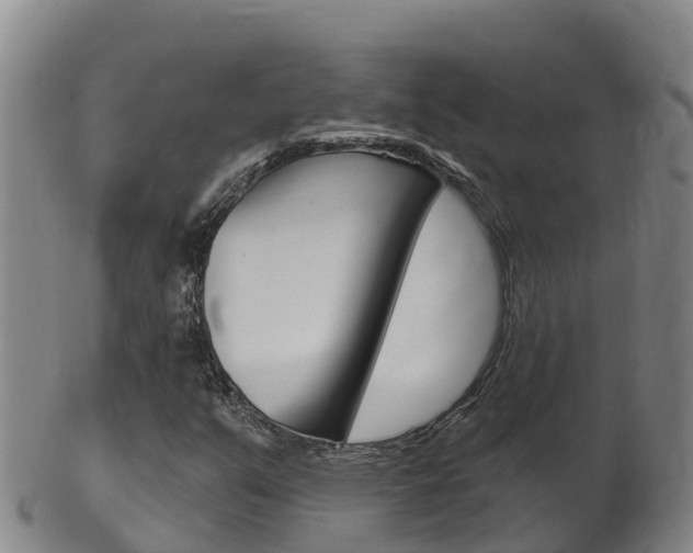 X0000102531351200808081043