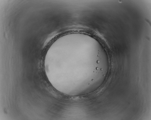 X0000102531352200808081043