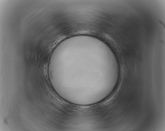 X0000102531353200808081043