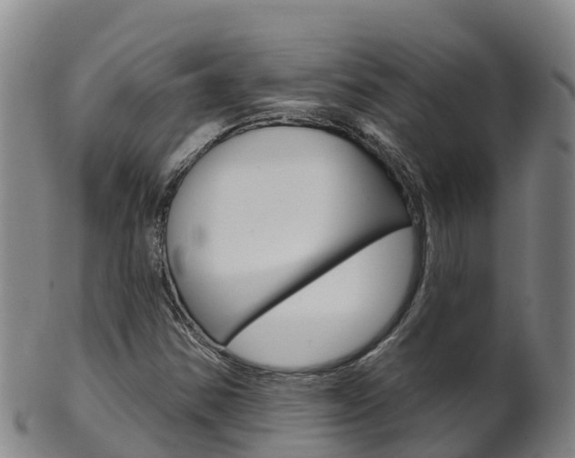 X0000102531354200808081043