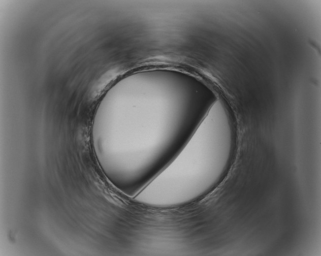 X0000102531355200808081043