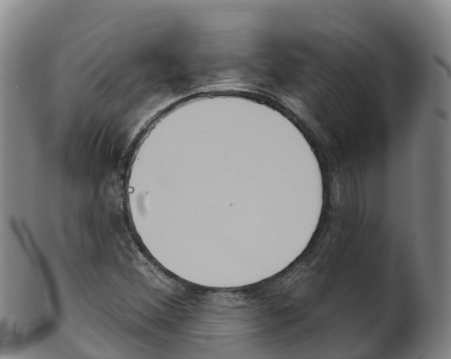 X0000102531356200808081043