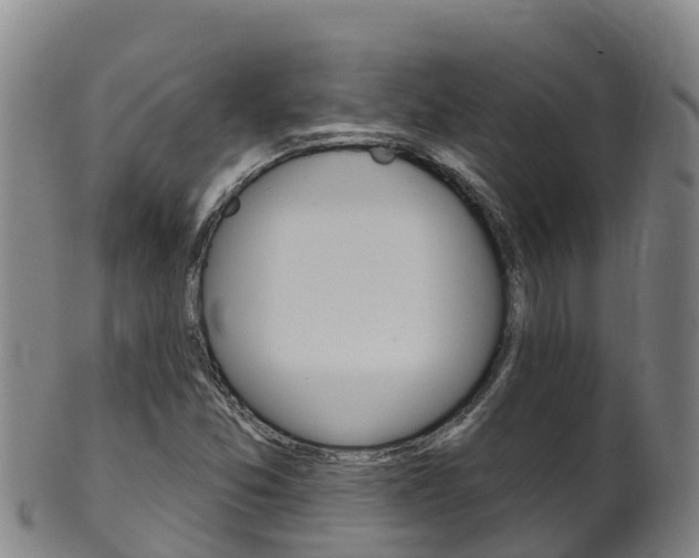 X0000102531357200808081043