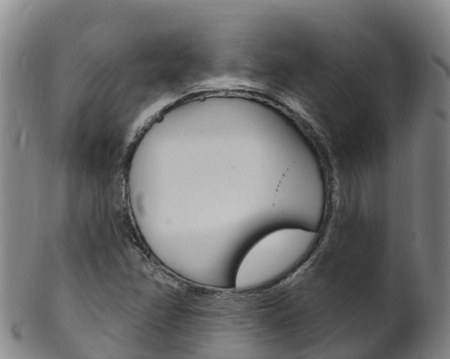 X0000102531358200808081043