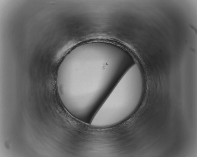 X0000102531359200808081043