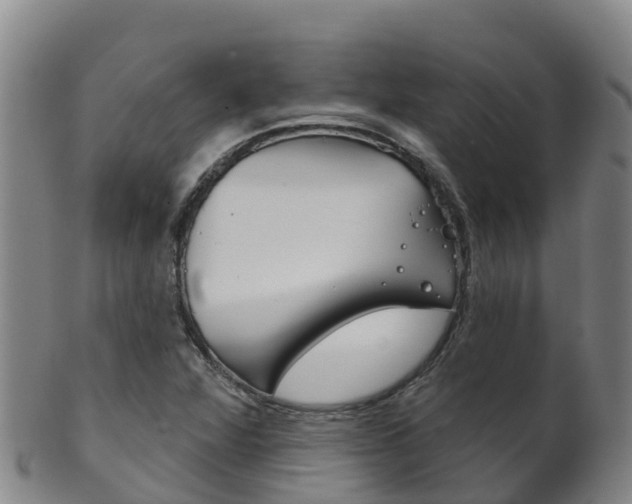 X0000102531360200808081043