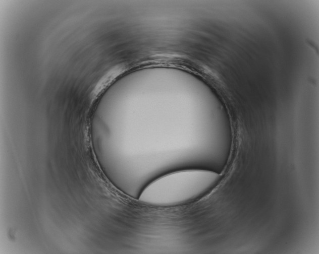 X0000102531362200808081043