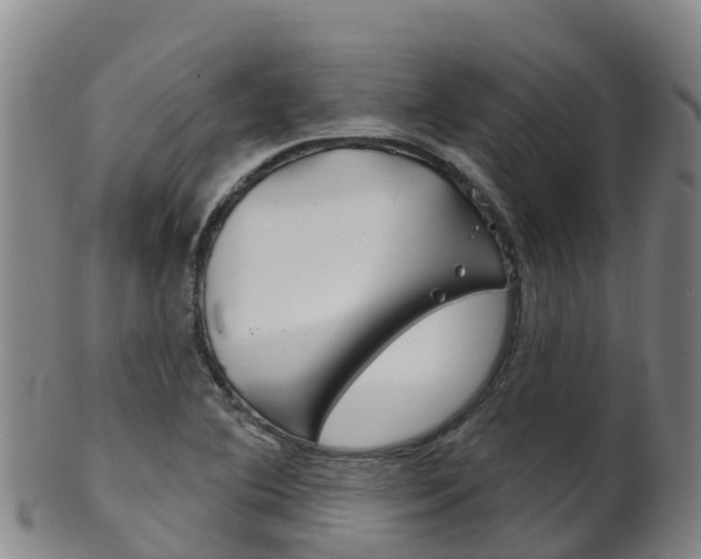 X0000102531364200808081043