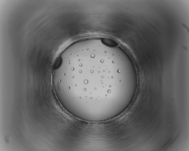 X0000102531365200808081043