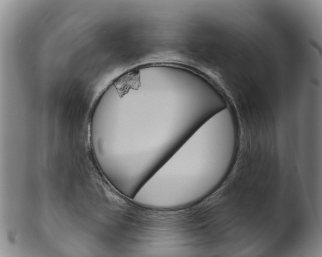 X0000102531366200808081043