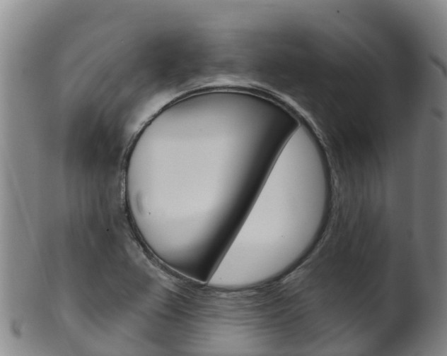 X0000102531367200808081043