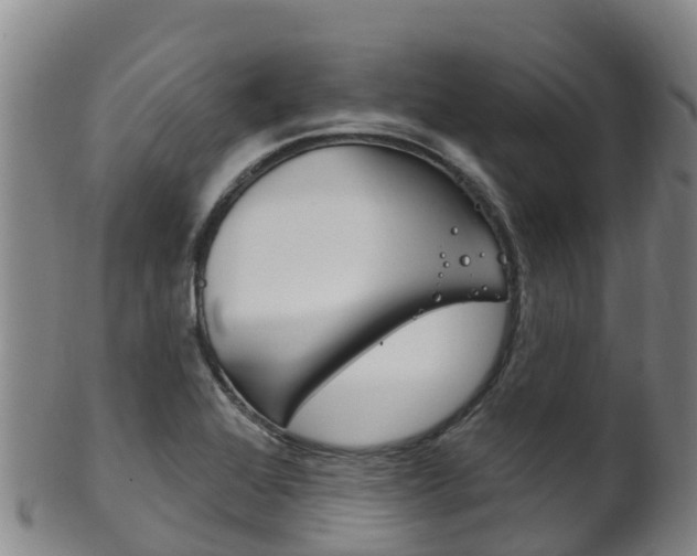 X0000102531368200808081043