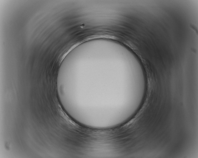 X0000102531369200808081043